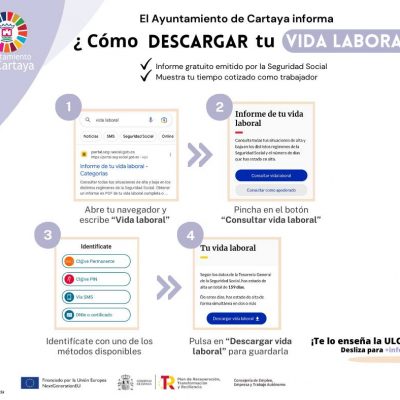 Aprende a descargar y leer la vida laboral